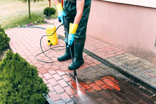 Best Driveway Pressure Washing  in Middleport, NY